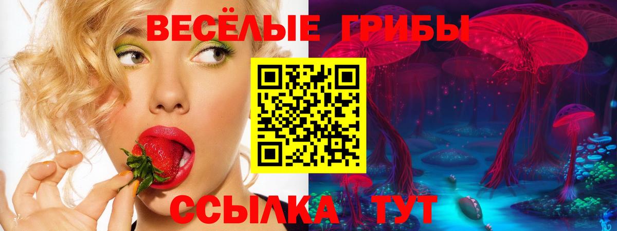 Галлюциногенные грибы прущие грибы Карталы